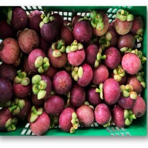 Fresh Thai Mangosteen – Premium Export Grade