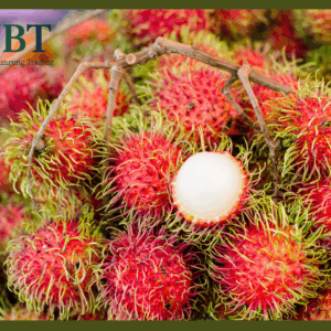 Fresh Thai Rambutan – Premium Export Grade